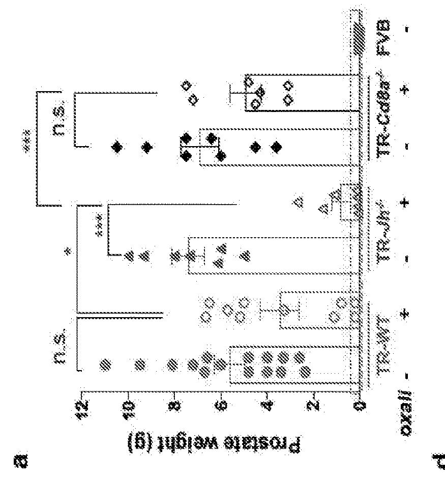 Novel chemoimmunotherapy for epithelial cancer