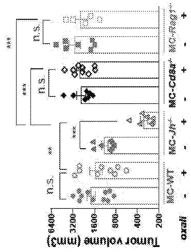 Novel chemoimmunotherapy for epithelial cancer