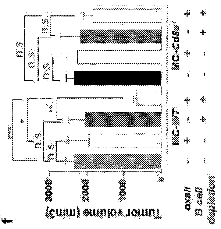 Novel chemoimmunotherapy for epithelial cancer