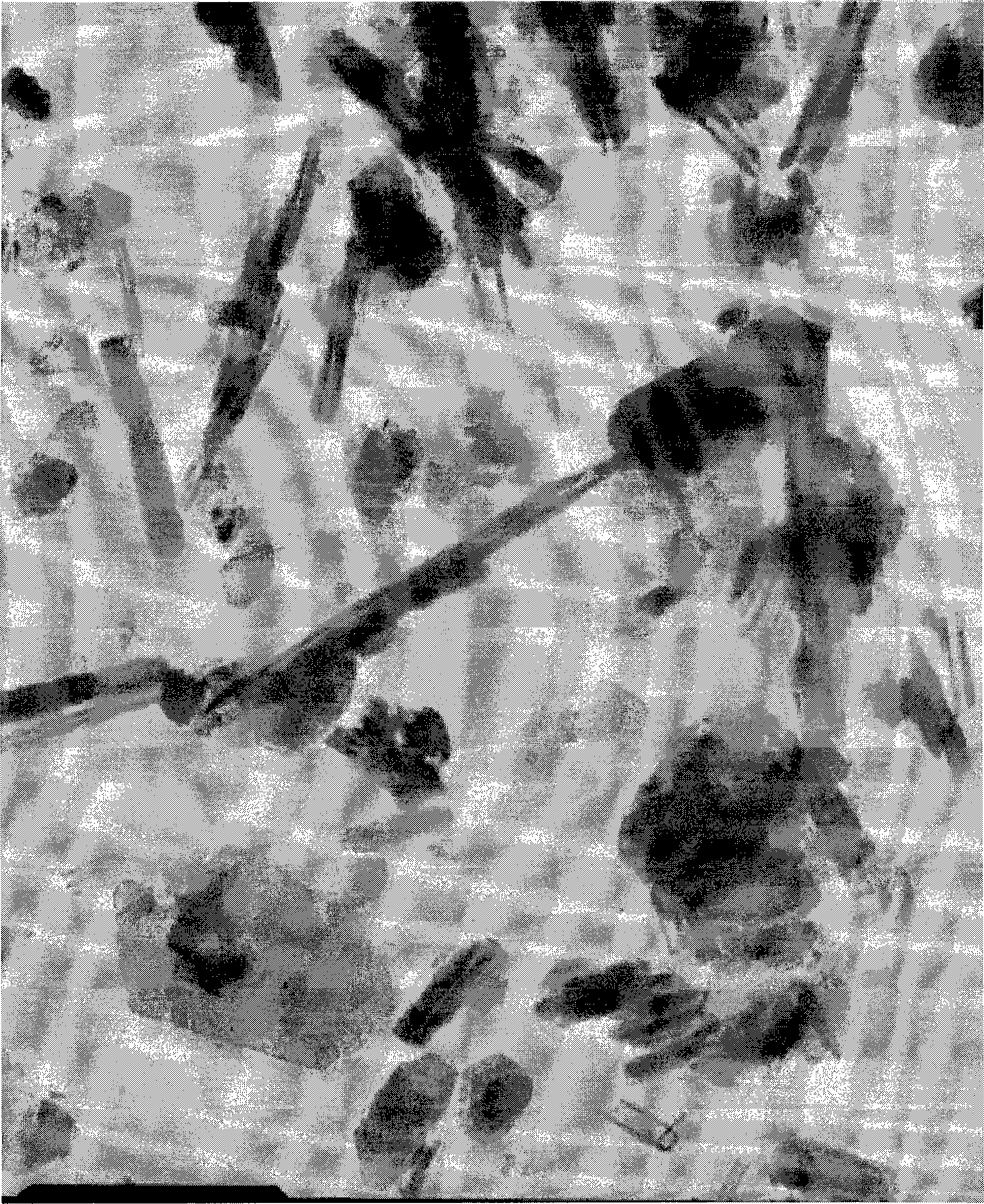 Kaolin product for catalytic cracking catalyst and preparation method thereof