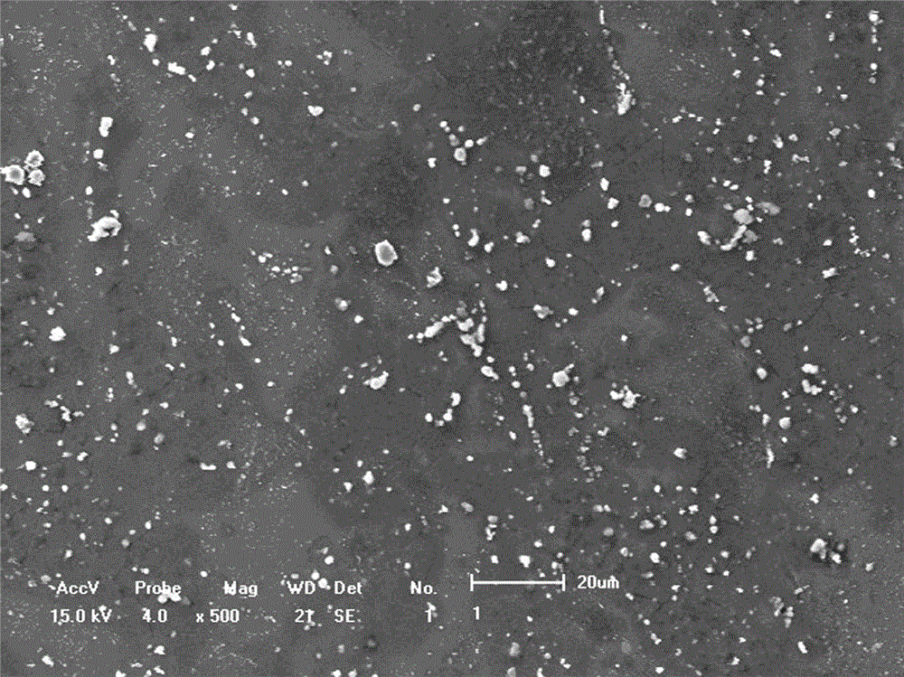 High-strength ultra-light two-phase structure magnesium-lithium alloy plate and preparation method thereof