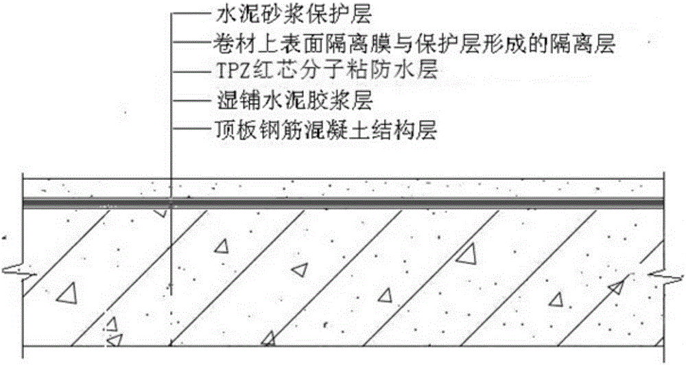 Synchronous construction method for TPZ red core molecular level bonding waterproof coiled material