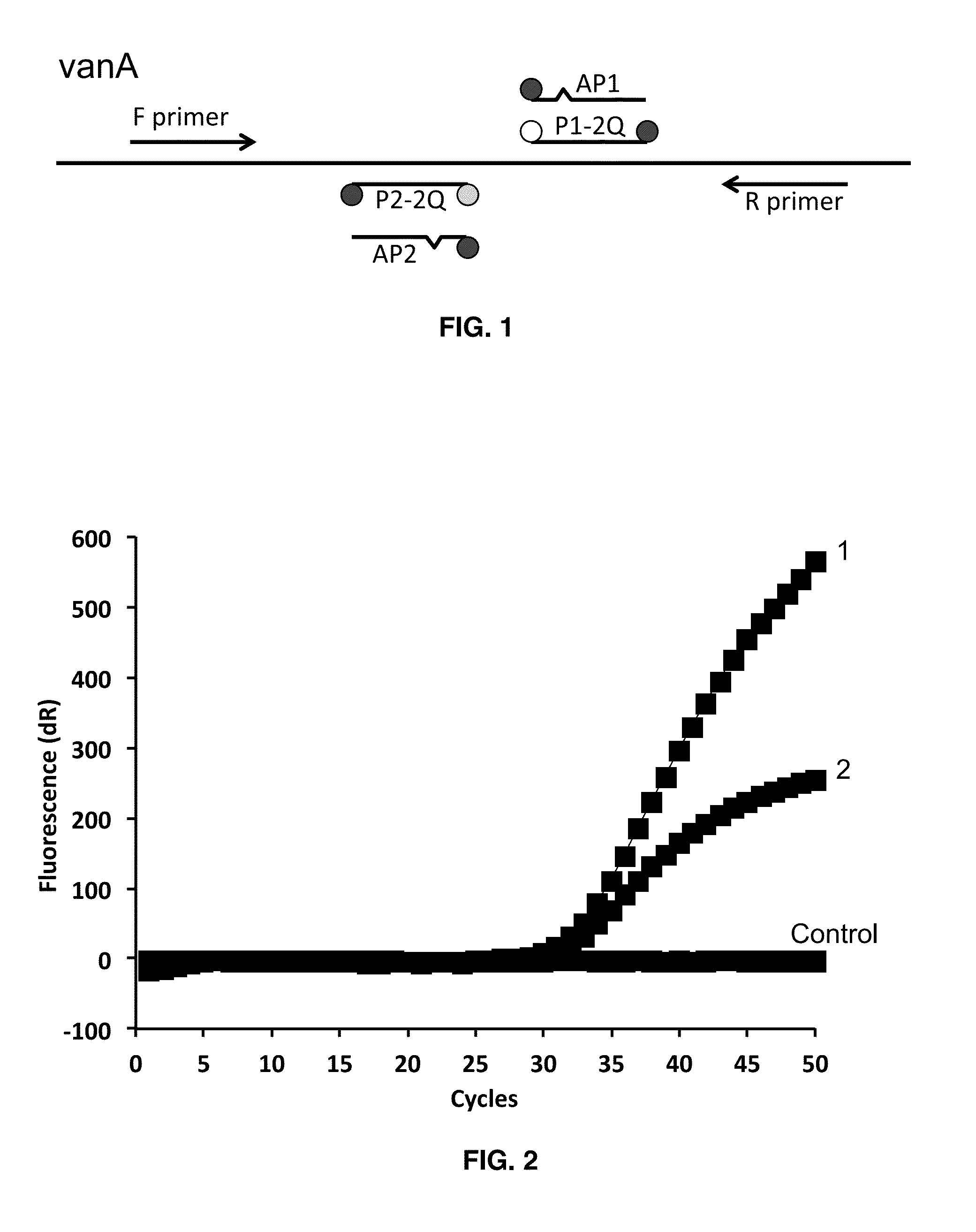 Dual Probe:Antiprobe Compositions for DNA and RNA Detection