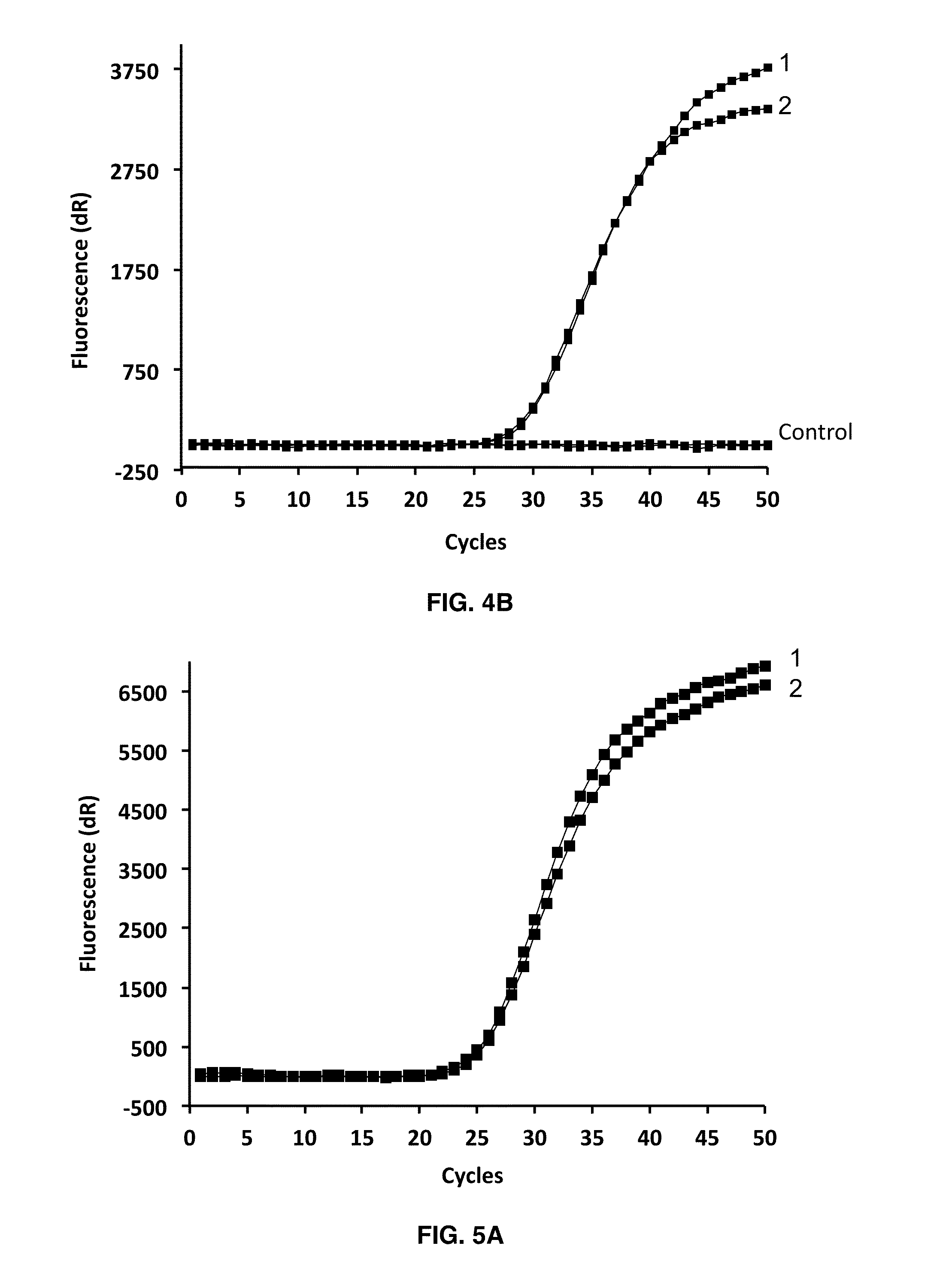 Dual Probe:Antiprobe Compositions for DNA and RNA Detection