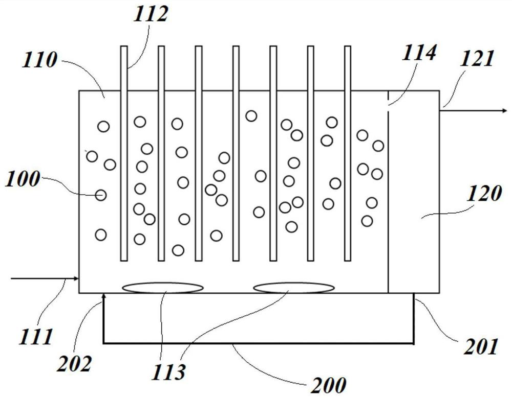 Immobilized filler, preparation method thereof as well as photosynthetic bacterium-protozoa sewage treatment device and method based on filler