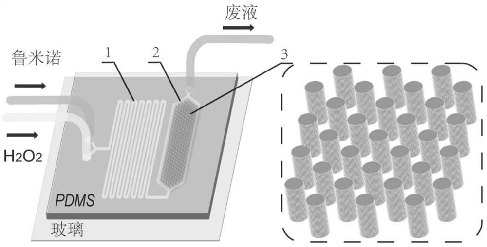 Micro-fluidic chip, detection system based on micro-fluidic chip and detection method of bacteria