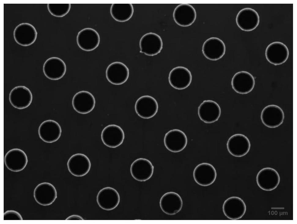 Micro-fluidic chip, detection system based on micro-fluidic chip and detection method of bacteria