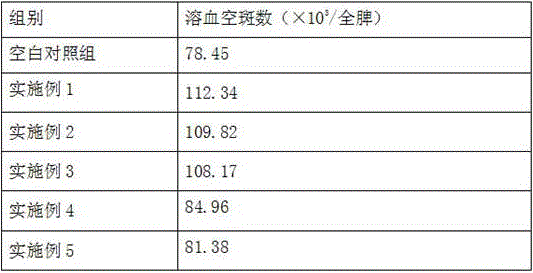 Begonia fimbristipula health-care food and preparation method thereof