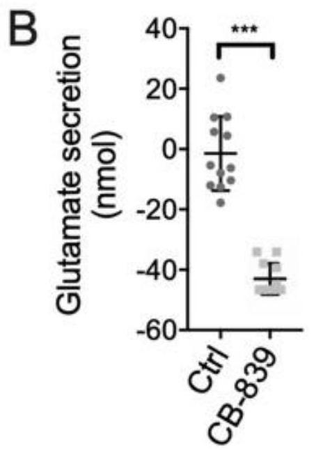 Application of glutaminase inhibitor in preparation of medicine for treating psoriasis