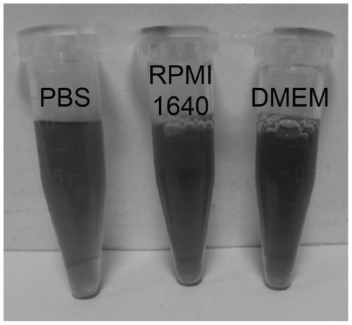 Preparation method and application of water-dispersible carbon nano-onion