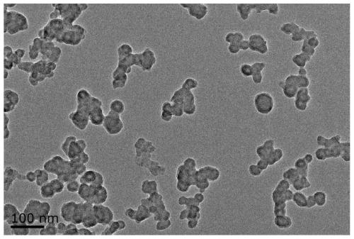 Preparation method and application of water-dispersible carbon nano-onion