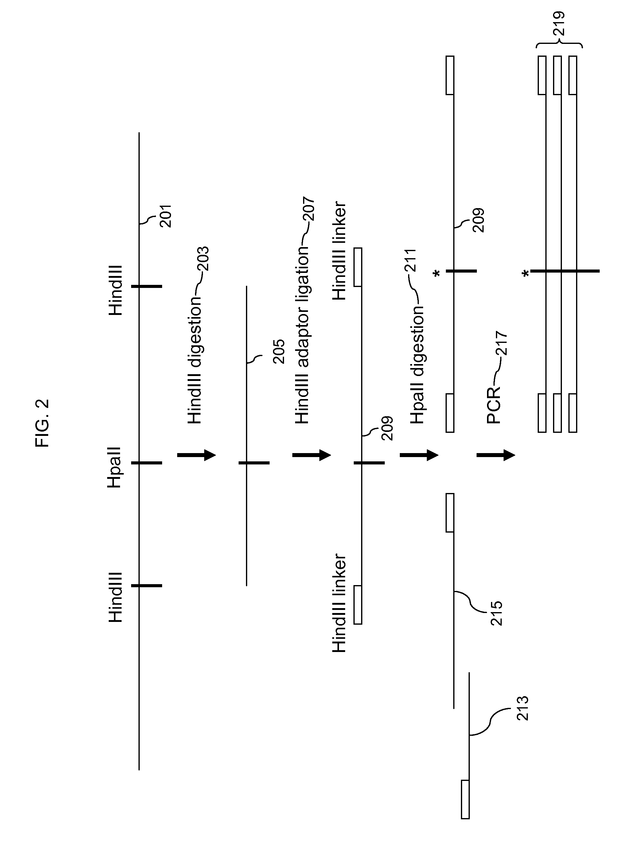 Analysis of methylation using nucleic acid arrays