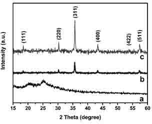 Ferrate/polyaniline magnetic nanometer catalytic agent and preparation method thereof