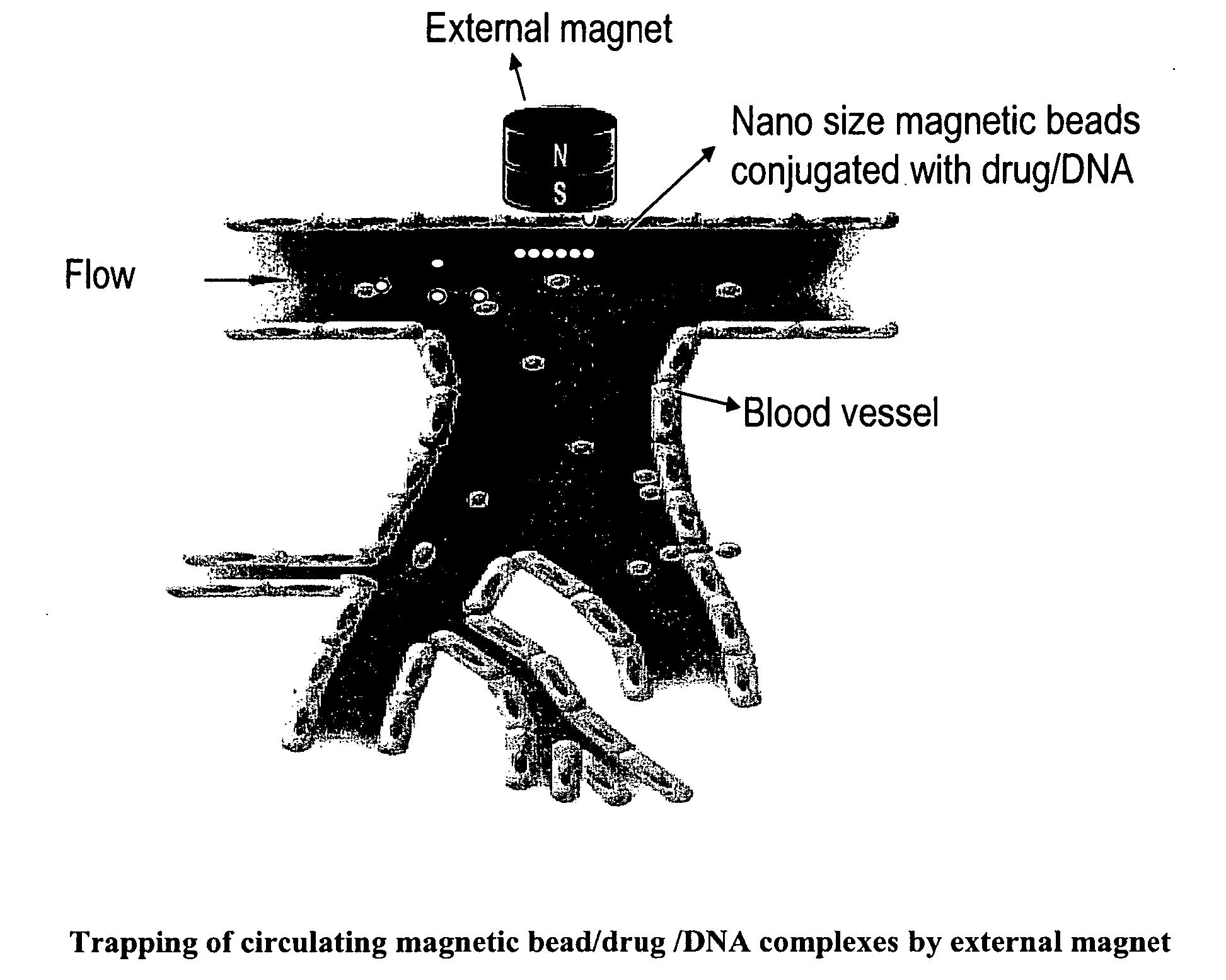 Magnetic pole matrices useful for tissue engineering and treatment of disease