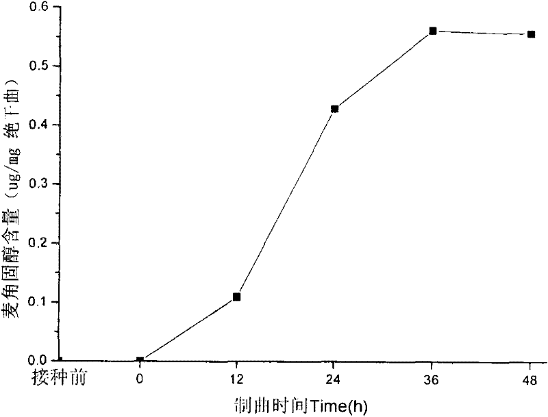 Method for estimating fungal biomass during a traditional solid fermentation process by using biomarker