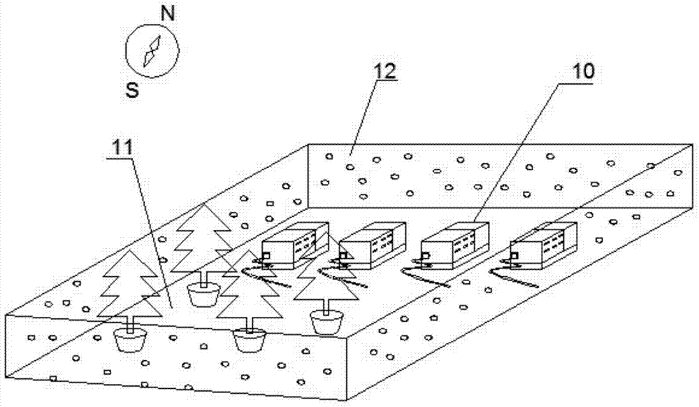 Original-ecological bamboo rat farm and original-ecological farming method