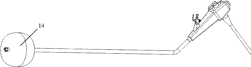 Three-dimensional electronic esophagoscope system and using method thereof