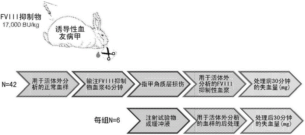 Compositions of human prothrombin and activated factor X for improving hemostasis in the treatment of bleeding disorders