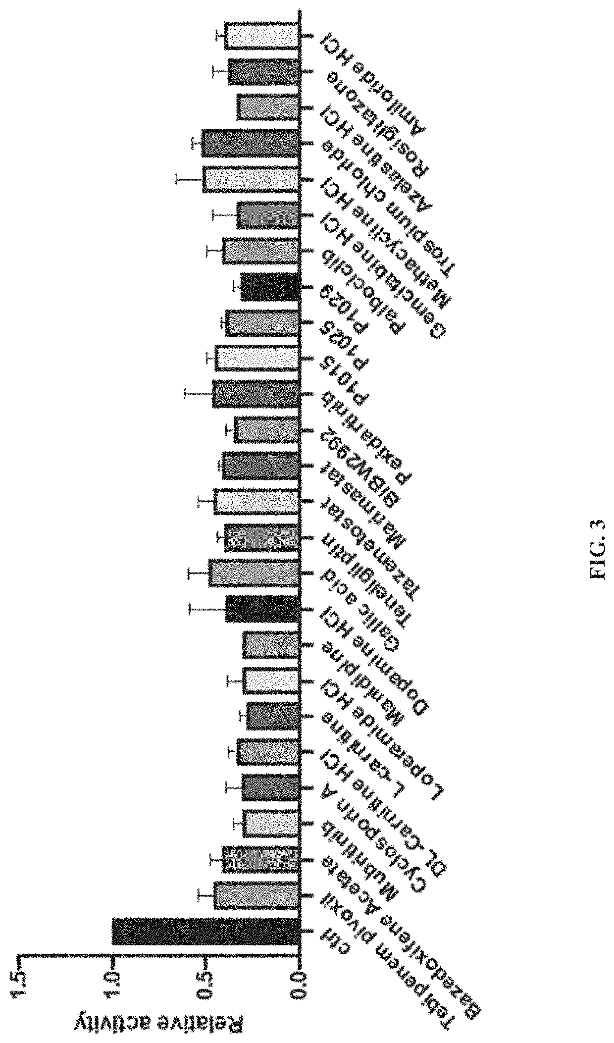 Methods of inhibiting procollagen-lysine, 2-oxoglutarate 5-dioxygenase 2