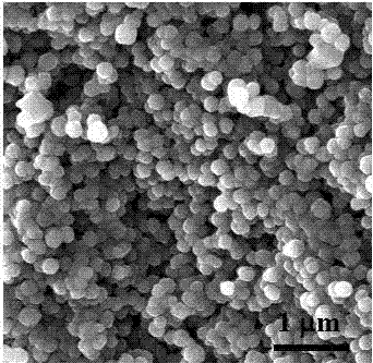 Preparation method and application of gynecological tumor marker immune sensor constructed with ordered mesoporous carbon