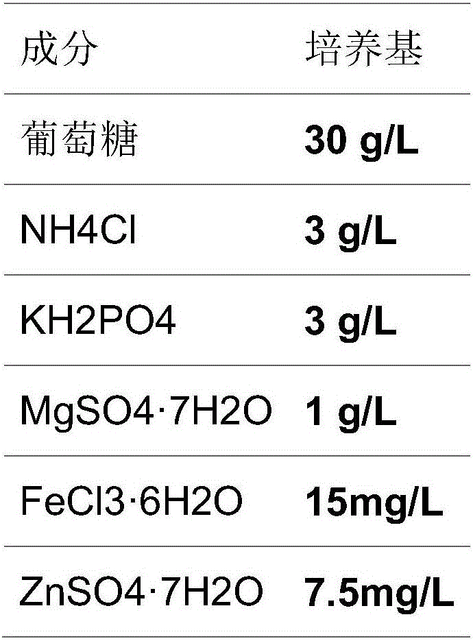 Method for synthesizing microbial oils by two-stage fed-batch fermentation