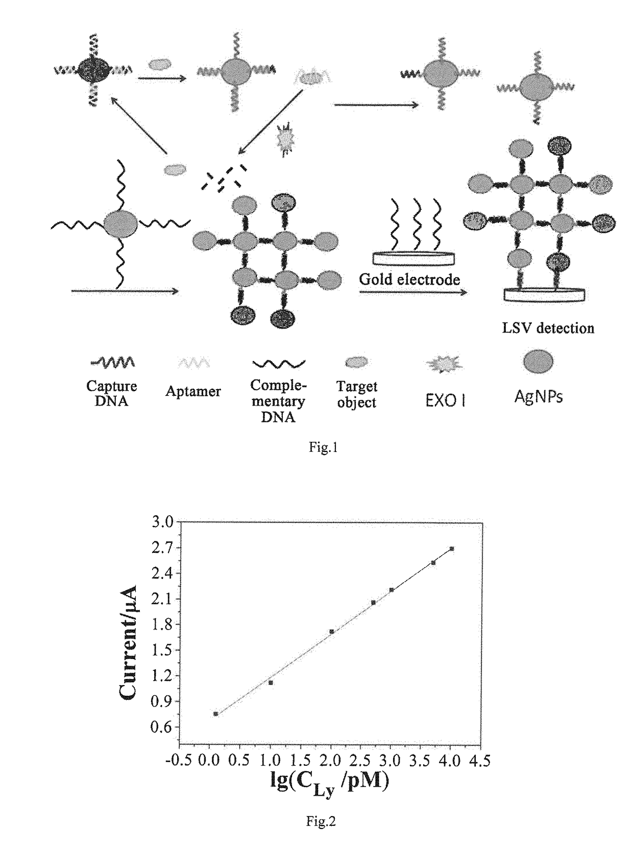 Electrochemical biosensor based on aptamer/nano silver probe and exo i enzyme