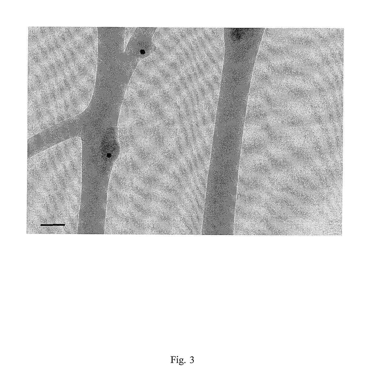 Electrospun nanofibrous membranes and disposable glucose biosensor