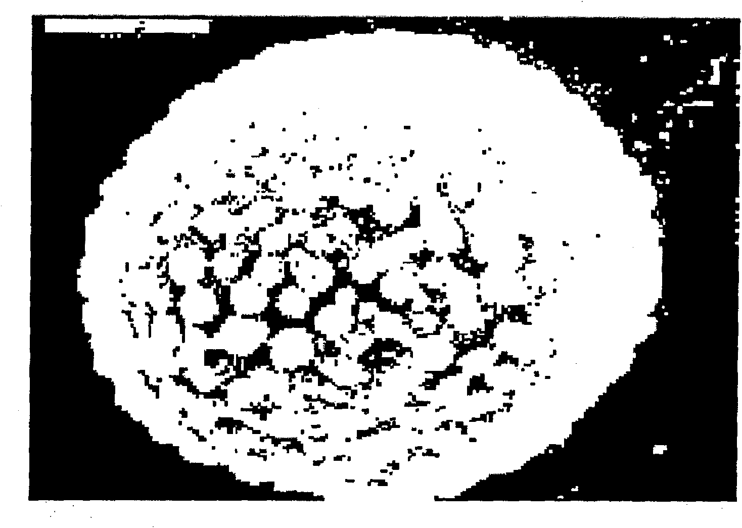 Cosmetic composition for scrubbing