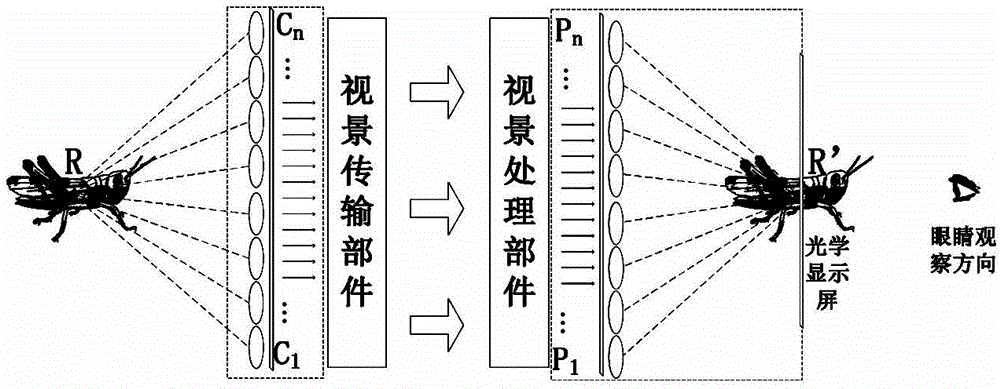 Video synchronous playback method for multi-view true 3D display system based on sliding window