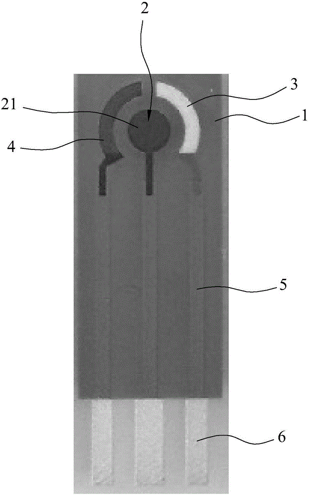 Biosensor for detecting okadaic acid and preparation method