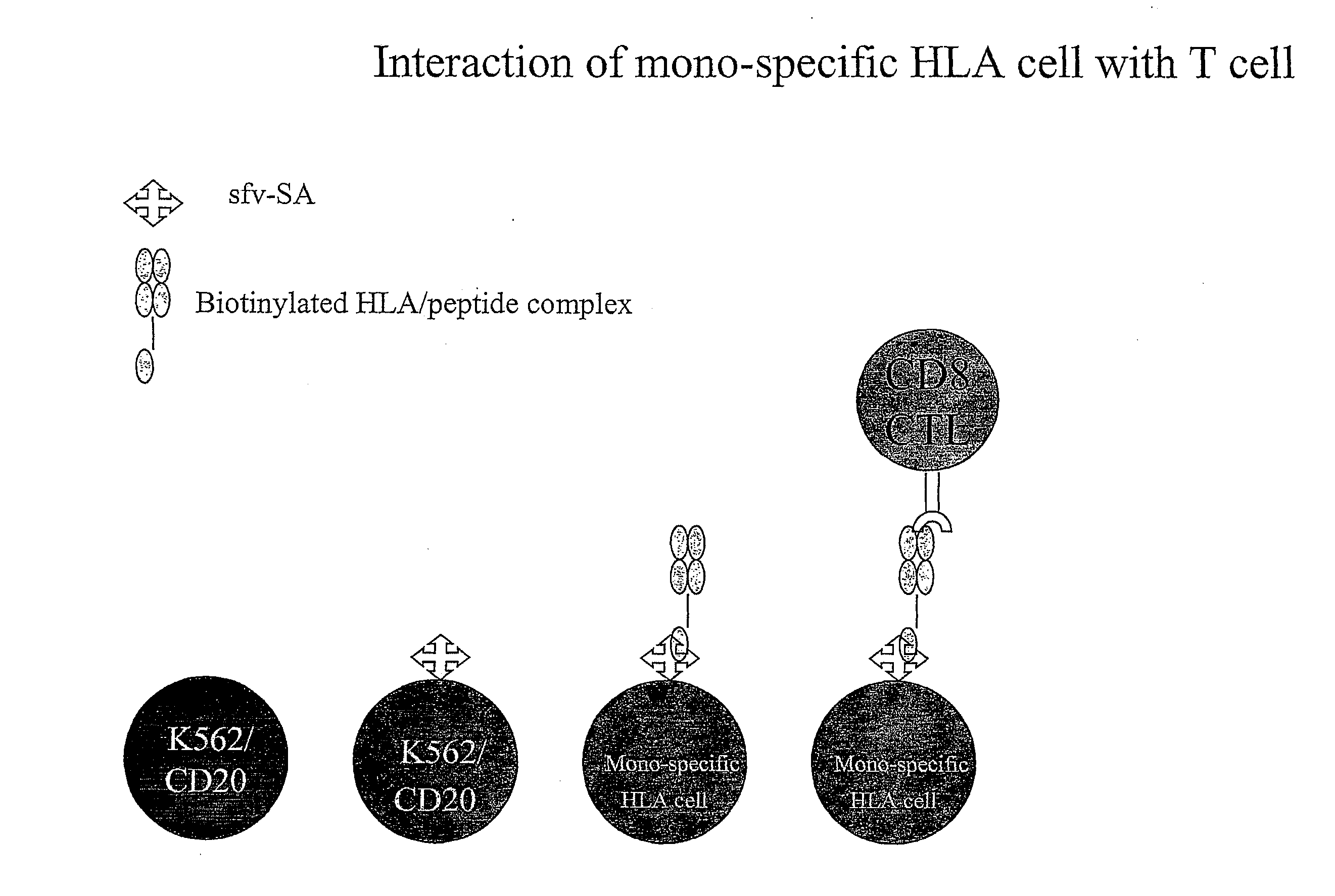 Complexes and methods