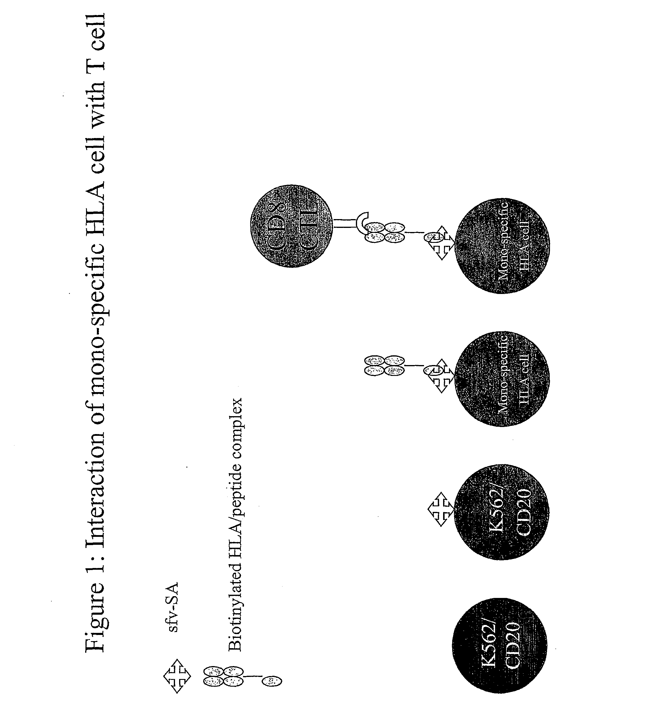 Complexes and methods