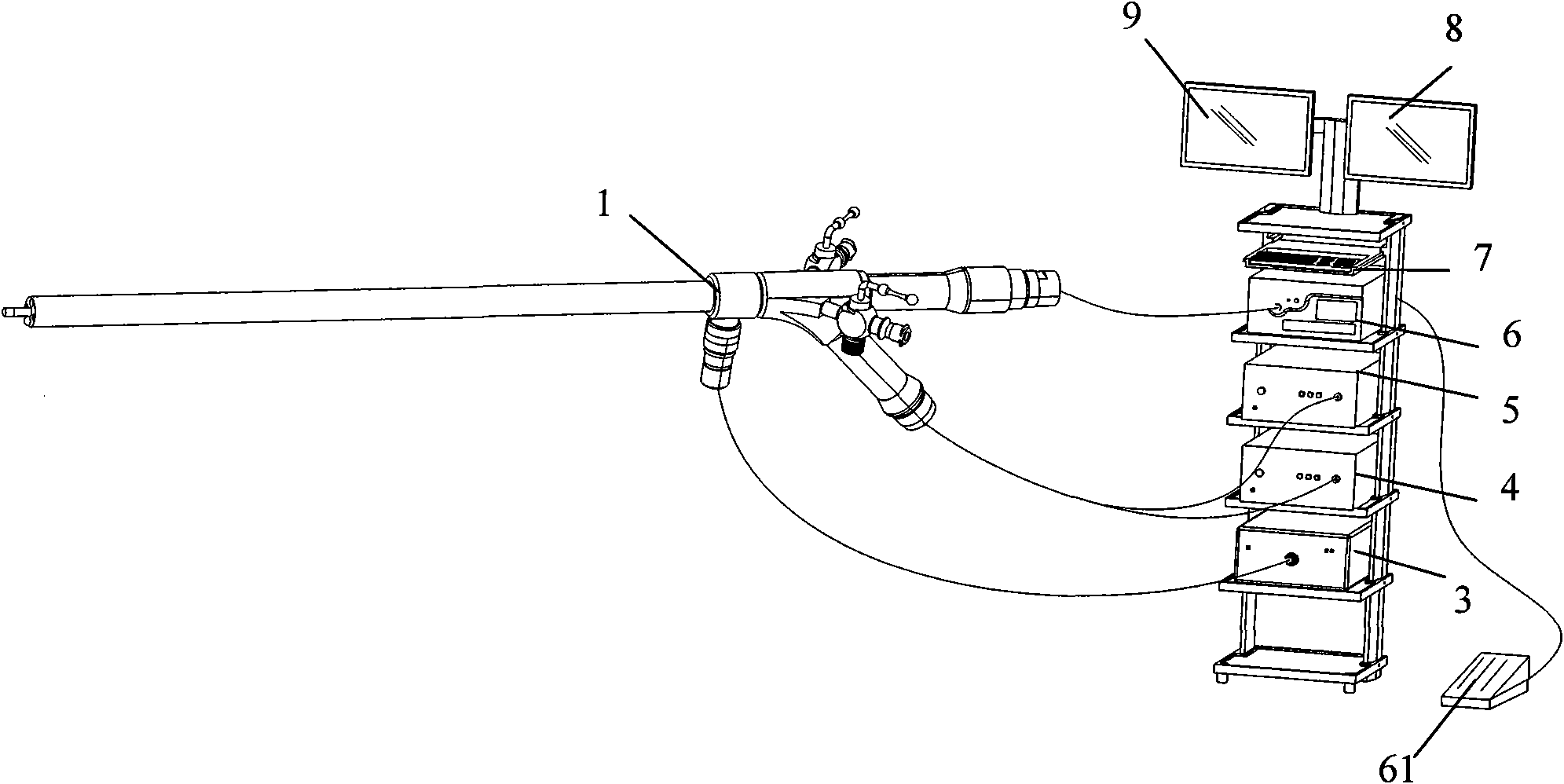 Integrative con-focal laparoscopic system for diagnosis and treatment