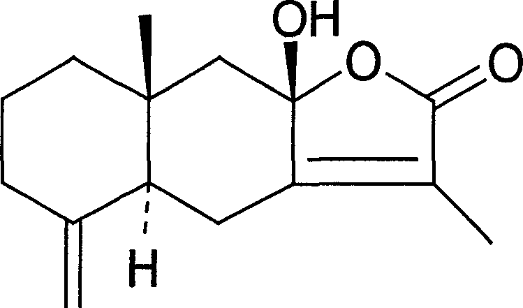 Method for separating effective ingredient lagehead atractylodes lactone III from lagehead atractylodes naphtha