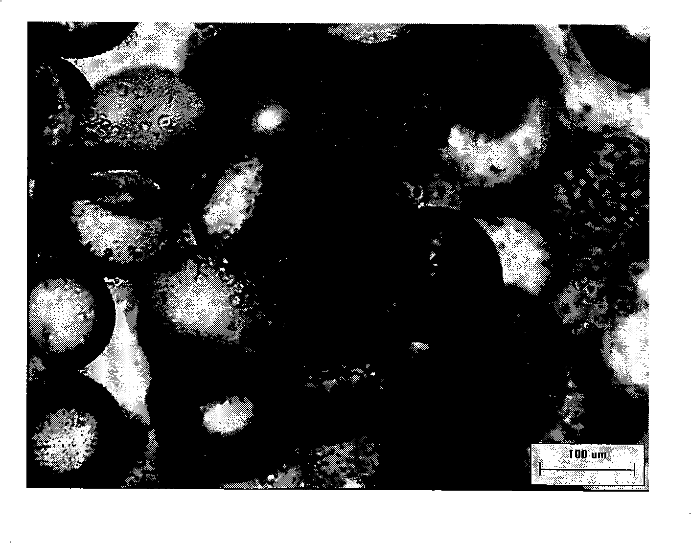 Process for coculturing cord blood hematopoietic stem cells and mesenchymal stem cells in dynamic suspending condition