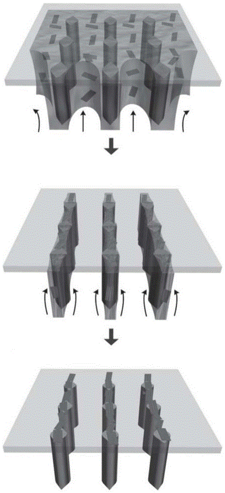 Graphene-polymer micro-wire array, gas sensor, and preparation methods and application thereof