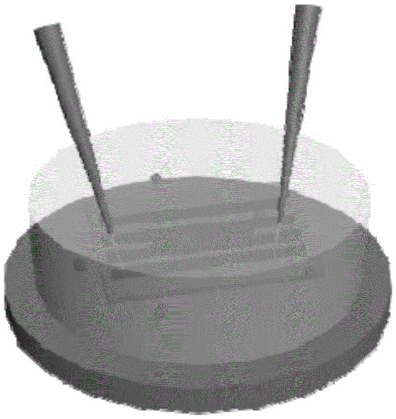 Graphene-polymer micro-wire array, gas sensor, and preparation methods and application thereof