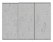 Culture and identification method for very small porcine embryonic-like stem cells