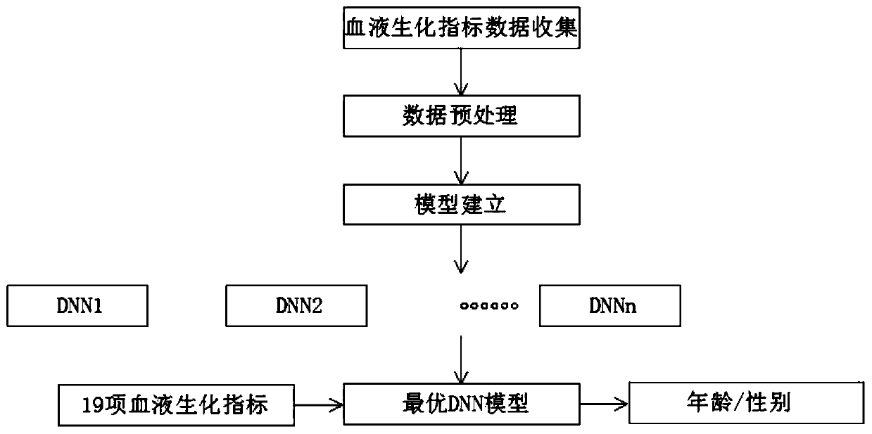 Method for calculating sex and age by using blood biochemical indexes