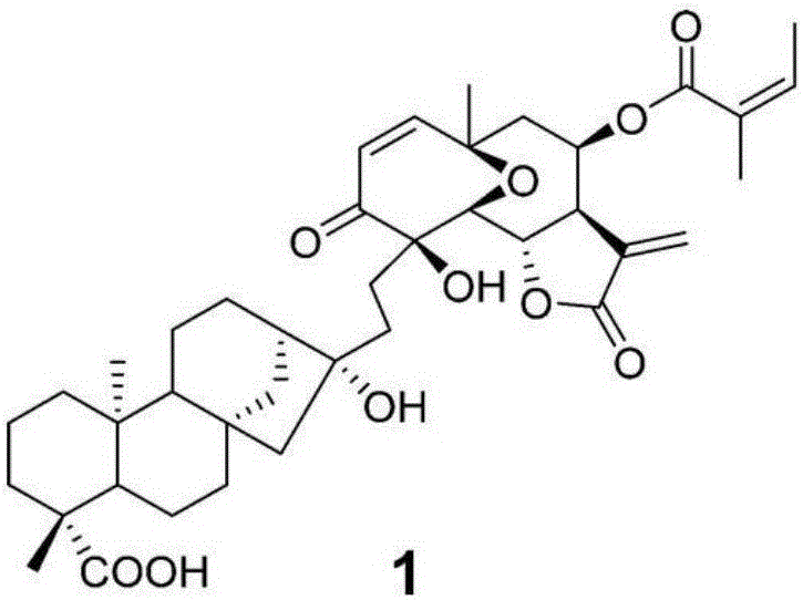 Medicine composition for therapy of allergic rhinitis