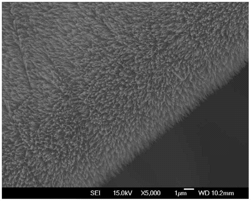 Synthesis method of zinc oxide nano wire harness array/foam graphene composite material and application thereof