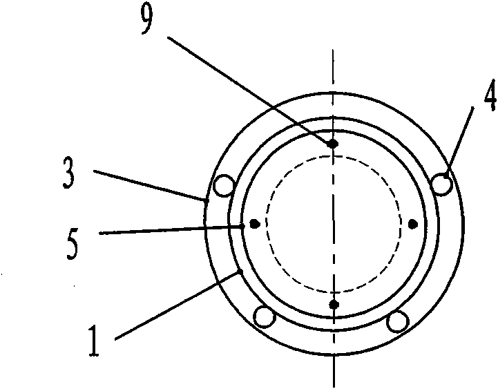 Capsule type anti-corrosion device with pile shoe and anti-corrosion and construction method using device