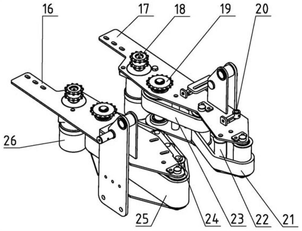 A clamping and conveying mechanism of a green onion harvester