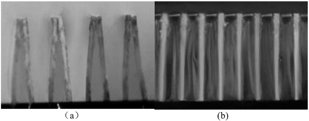 A Method for Immobilizing High Aspect Ratio Micro/Nano Structures Based on Gel Interaction