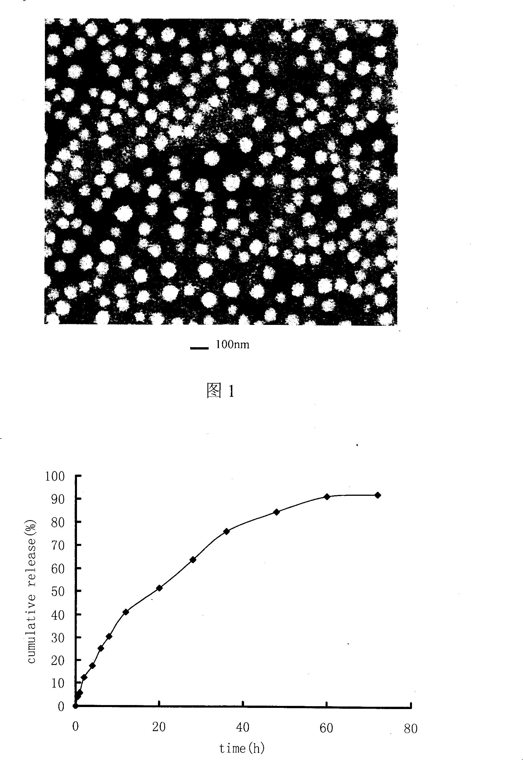 Pirarubicin or pirarubicin hydrochloride lipid nano granule and preparation method thereof