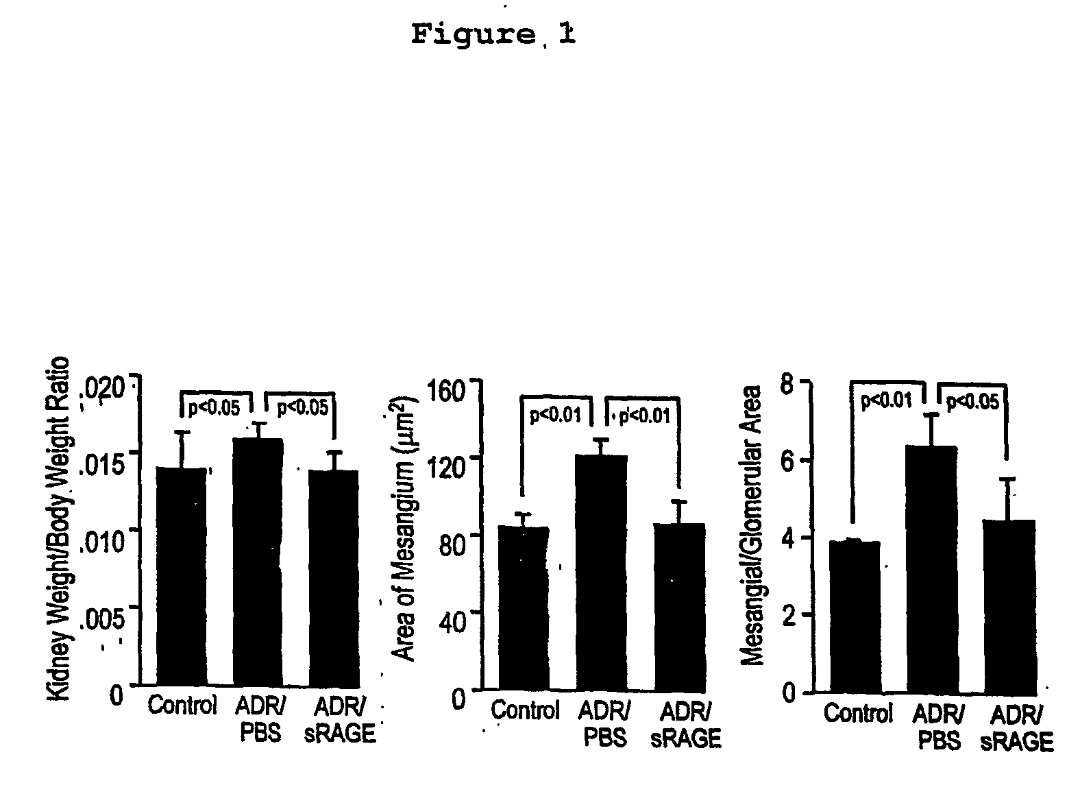 Rage-related methods and copositions for treating glomerular injury