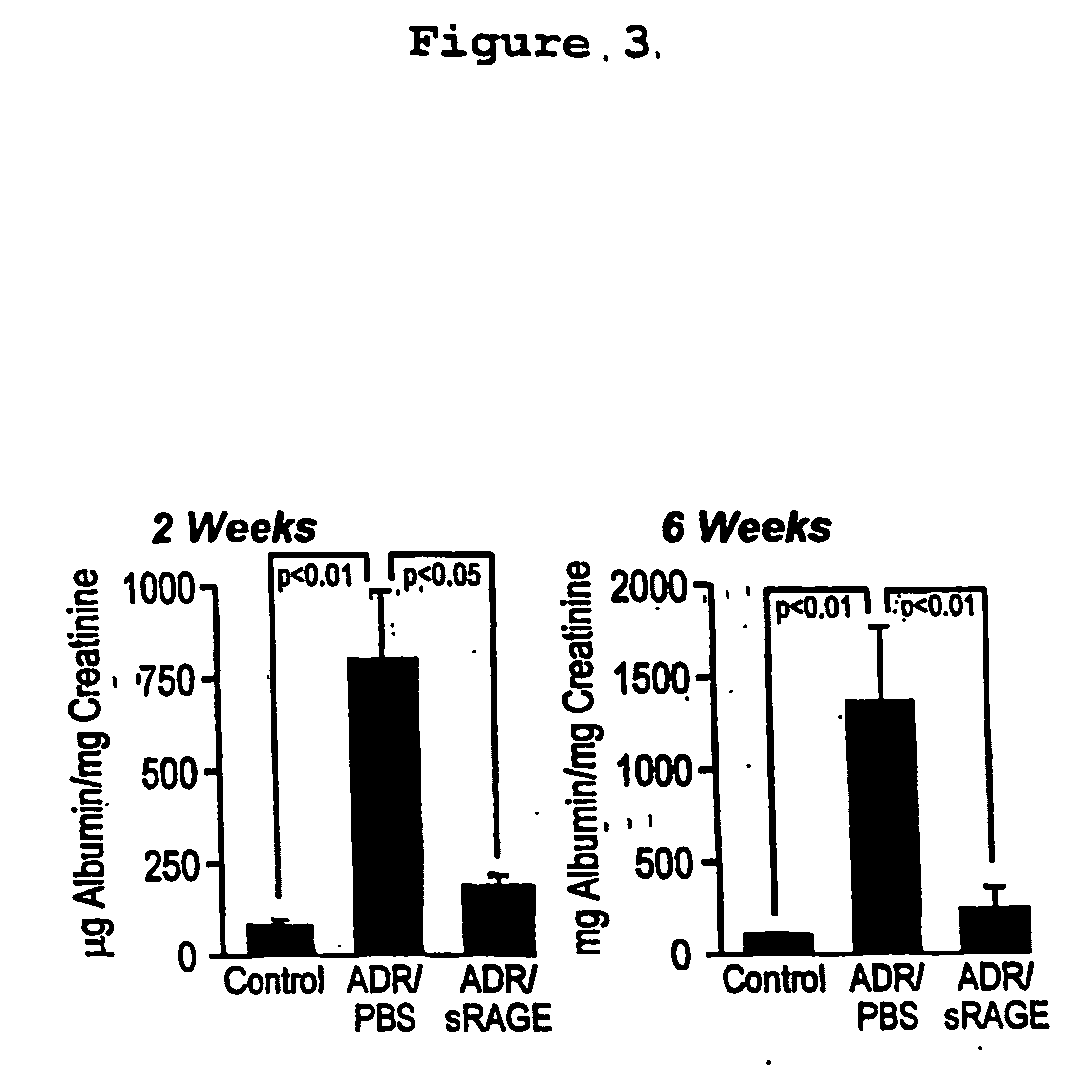 Rage-related methods and copositions for treating glomerular injury