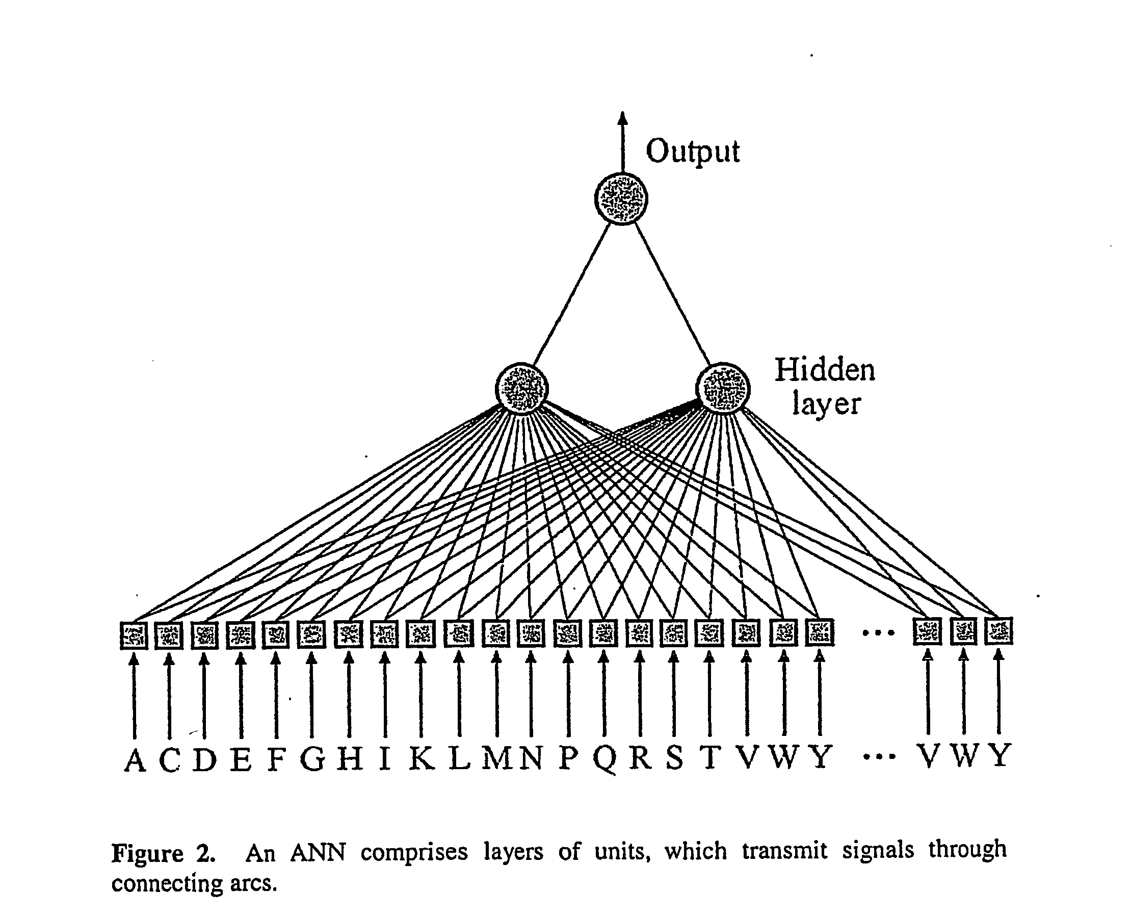 System and method for systematic prediction of ligand/receptor activity