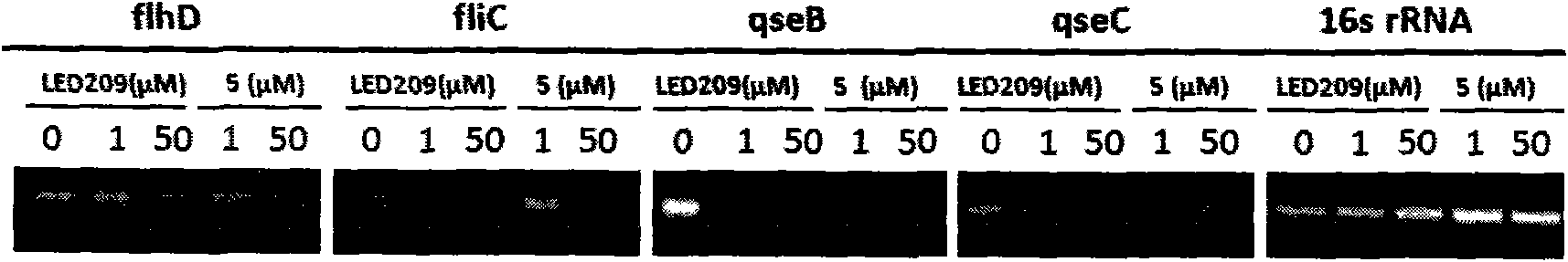 Synthetic method of QseC ligand derivatives with role of inhibiting bacterial virulence