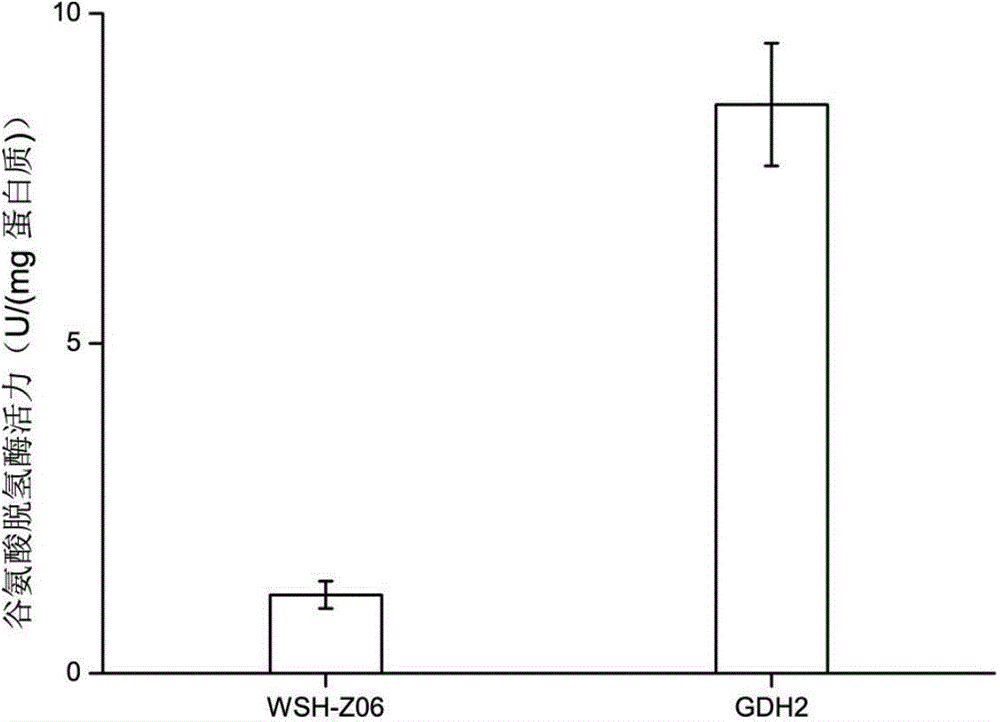 Method for synthesizing alpha-ketoglutaric acid by reinforcing Yarrowia lipolytica